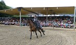 Ritterspiele 2012 auf Burg Sommeregg in Seeboden pressefotos, sportfoto, sportfotos, krnten, kaernten, pressefoto, oskar, hher, wolfgang, jannach, sport, wirtschaft, kultur, politik, innenpolitik, auenpolitik, lokal, chronik, fotos, fotografie, fotographie, canon, eos, 1d, mark IV, mark 4, fotopool, powerpixx, hherfoto, hoeherfoto, klagenfurt, villach, wolfsberg, spittal, feldkirchen, vlkermarkt, voelkermarkt, lienz, osttirol, hermagor, archiv, fotoarchiv, photo, photoarchiv, kleine, zeitung, kleinzeitung, ktz, krntner tages zeitung, krntner woche, krntner, woche, kronen zeitung, krone, kronen, zeitung, sportfotographie, sportfotografie, kurier, krntner monat, monatsmagazin, tageszeitung, wochenzeitung, gratiszeitung, fuball, fussball, eishockey, icehockey, tennis, basketball, handball, volleyball, beachvolleyball, schi, ski, ski alpin, ski nordisch, schi nordisch, nordisch, langlaufen, schispringen, skispringen, biathlon