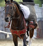 Ritterspiele 2012 auf Burg Sommeregg in Seeboden pressefotos, sportfoto, sportfotos, krnten, kaernten, pressefoto, oskar, hher, wolfgang, jannach, sport, wirtschaft, kultur, politik, innenpolitik, auenpolitik, lokal, chronik, fotos, fotografie, fotographie, canon, eos, 1d, mark IV, mark 4, fotopool, powerpixx, hherfoto, hoeherfoto, klagenfurt, villach, wolfsberg, spittal, feldkirchen, vlkermarkt, voelkermarkt, lienz, osttirol, hermagor, archiv, fotoarchiv, photo, photoarchiv, kleine, zeitung, kleinzeitung, ktz, krntner tages zeitung, krntner woche, krntner, woche, kronen zeitung, krone, kronen, zeitung, sportfotographie, sportfotografie, kurier, krntner monat, monatsmagazin, tageszeitung, wochenzeitung, gratiszeitung, fuball, fussball, eishockey, icehockey, tennis, basketball, handball, volleyball, beachvolleyball, schi, ski, ski alpin, ski nordisch, schi nordisch, nordisch, langlaufen, schispringen, skispringen, biathlon