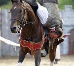 Ritterspiele 2012 auf Burg Sommeregg in Seeboden pressefotos, sportfoto, sportfotos, krnten, kaernten, pressefoto, oskar, hher, wolfgang, jannach, sport, wirtschaft, kultur, politik, innenpolitik, auenpolitik, lokal, chronik, fotos, fotografie, fotographie, canon, eos, 1d, mark IV, mark 4, fotopool, powerpixx, hherfoto, hoeherfoto, klagenfurt, villach, wolfsberg, spittal, feldkirchen, vlkermarkt, voelkermarkt, lienz, osttirol, hermagor, archiv, fotoarchiv, photo, photoarchiv, kleine, zeitung, kleinzeitung, ktz, krntner tages zeitung, krntner woche, krntner, woche, kronen zeitung, krone, kronen, zeitung, sportfotographie, sportfotografie, kurier, krntner monat, monatsmagazin, tageszeitung, wochenzeitung, gratiszeitung, fuball, fussball, eishockey, icehockey, tennis, basketball, handball, volleyball, beachvolleyball, schi, ski, ski alpin, ski nordisch, schi nordisch, nordisch, langlaufen, schispringen, skispringen, biathlon