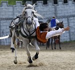 Ritterspiele 2012 auf Burg Sommeregg in Seeboden pressefotos, sportfoto, sportfotos, krnten, kaernten, pressefoto, oskar, hher, wolfgang, jannach, sport, wirtschaft, kultur, politik, innenpolitik, auenpolitik, lokal, chronik, fotos, fotografie, fotographie, canon, eos, 1d, mark IV, mark 4, fotopool, powerpixx, hherfoto, hoeherfoto, klagenfurt, villach, wolfsberg, spittal, feldkirchen, vlkermarkt, voelkermarkt, lienz, osttirol, hermagor, archiv, fotoarchiv, photo, photoarchiv, kleine, zeitung, kleinzeitung, ktz, krntner tages zeitung, krntner woche, krntner, woche, kronen zeitung, krone, kronen, zeitung, sportfotographie, sportfotografie, kurier, krntner monat, monatsmagazin, tageszeitung, wochenzeitung, gratiszeitung, fuball, fussball, eishockey, icehockey, tennis, basketball, handball, volleyball, beachvolleyball, schi, ski, ski alpin, ski nordisch, schi nordisch, nordisch, langlaufen, schispringen, skispringen, biathlon