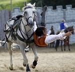 Ritterspiele 2012 auf Burg Sommeregg in Seeboden pressefotos, sportfoto, sportfotos, krnten, kaernten, pressefoto, oskar, hher, wolfgang, jannach, sport, wirtschaft, kultur, politik, innenpolitik, auenpolitik, lokal, chronik, fotos, fotografie, fotographie, canon, eos, 1d, mark IV, mark 4, fotopool, powerpixx, hherfoto, hoeherfoto, klagenfurt, villach, wolfsberg, spittal, feldkirchen, vlkermarkt, voelkermarkt, lienz, osttirol, hermagor, archiv, fotoarchiv, photo, photoarchiv, kleine, zeitung, kleinzeitung, ktz, krntner tages zeitung, krntner woche, krntner, woche, kronen zeitung, krone, kronen, zeitung, sportfotographie, sportfotografie, kurier, krntner monat, monatsmagazin, tageszeitung, wochenzeitung, gratiszeitung, fuball, fussball, eishockey, icehockey, tennis, basketball, handball, volleyball, beachvolleyball, schi, ski, ski alpin, ski nordisch, schi nordisch, nordisch, langlaufen, schispringen, skispringen, biathlon