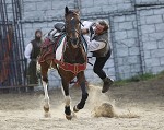 Ritterspiele 2012 auf Burg Sommeregg in Seeboden pressefotos, sportfoto, sportfotos, krnten, kaernten, pressefoto, oskar, hher, wolfgang, jannach, sport, wirtschaft, kultur, politik, innenpolitik, auenpolitik, lokal, chronik, fotos, fotografie, fotographie, canon, eos, 1d, mark IV, mark 4, fotopool, powerpixx, hherfoto, hoeherfoto, klagenfurt, villach, wolfsberg, spittal, feldkirchen, vlkermarkt, voelkermarkt, lienz, osttirol, hermagor, archiv, fotoarchiv, photo, photoarchiv, kleine, zeitung, kleinzeitung, ktz, krntner tages zeitung, krntner woche, krntner, woche, kronen zeitung, krone, kronen, zeitung, sportfotographie, sportfotografie, kurier, krntner monat, monatsmagazin, tageszeitung, wochenzeitung, gratiszeitung, fuball, fussball, eishockey, icehockey, tennis, basketball, handball, volleyball, beachvolleyball, schi, ski, ski alpin, ski nordisch, schi nordisch, nordisch, langlaufen, schispringen, skispringen, biathlon