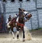 Ritterspiele 2012 auf Burg Sommeregg in Seeboden pressefotos, sportfoto, sportfotos, krnten, kaernten, pressefoto, oskar, hher, wolfgang, jannach, sport, wirtschaft, kultur, politik, innenpolitik, auenpolitik, lokal, chronik, fotos, fotografie, fotographie, canon, eos, 1d, mark IV, mark 4, fotopool, powerpixx, hherfoto, hoeherfoto, klagenfurt, villach, wolfsberg, spittal, feldkirchen, vlkermarkt, voelkermarkt, lienz, osttirol, hermagor, archiv, fotoarchiv, photo, photoarchiv, kleine, zeitung, kleinzeitung, ktz, krntner tages zeitung, krntner woche, krntner, woche, kronen zeitung, krone, kronen, zeitung, sportfotographie, sportfotografie, kurier, krntner monat, monatsmagazin, tageszeitung, wochenzeitung, gratiszeitung, fuball, fussball, eishockey, icehockey, tennis, basketball, handball, volleyball, beachvolleyball, schi, ski, ski alpin, ski nordisch, schi nordisch, nordisch, langlaufen, schispringen, skispringen, biathlon