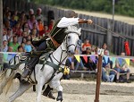 Ritterspiele 2012 auf Burg Sommeregg in Seeboden pressefotos, sportfoto, sportfotos, krnten, kaernten, pressefoto, oskar, hher, wolfgang, jannach, sport, wirtschaft, kultur, politik, innenpolitik, auenpolitik, lokal, chronik, fotos, fotografie, fotographie, canon, eos, 1d, mark IV, mark 4, fotopool, powerpixx, hherfoto, hoeherfoto, klagenfurt, villach, wolfsberg, spittal, feldkirchen, vlkermarkt, voelkermarkt, lienz, osttirol, hermagor, archiv, fotoarchiv, photo, photoarchiv, kleine, zeitung, kleinzeitung, ktz, krntner tages zeitung, krntner woche, krntner, woche, kronen zeitung, krone, kronen, zeitung, sportfotographie, sportfotografie, kurier, krntner monat, monatsmagazin, tageszeitung, wochenzeitung, gratiszeitung, fuball, fussball, eishockey, icehockey, tennis, basketball, handball, volleyball, beachvolleyball, schi, ski, ski alpin, ski nordisch, schi nordisch, nordisch, langlaufen, schispringen, skispringen, biathlon