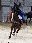 Ritterspiele 2012 auf Burg Sommeregg in Seeboden pressefotos, sportfoto, sportfotos, krnten, kaernten, pressefoto, oskar, hher, wolfgang, jannach, sport, wirtschaft, kultur, politik, innenpolitik, auenpolitik, lokal, chronik, fotos, fotografie, fotographie, canon, eos, 1d, mark IV, mark 4, fotopool, powerpixx, hherfoto, hoeherfoto, klagenfurt, villach, wolfsberg, spittal, feldkirchen, vlkermarkt, voelkermarkt, lienz, osttirol, hermagor, archiv, fotoarchiv, photo, photoarchiv, kleine, zeitung, kleinzeitung, ktz, krntner tages zeitung, krntner woche, krntner, woche, kronen zeitung, krone, kronen, zeitung, sportfotographie, sportfotografie, kurier, krntner monat, monatsmagazin, tageszeitung, wochenzeitung, gratiszeitung, fuball, fussball, eishockey, icehockey, tennis, basketball, handball, volleyball, beachvolleyball, schi, ski, ski alpin, ski nordisch, schi nordisch, nordisch, langlaufen, schispringen, skispringen, biathlon