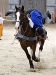 Ritterspiele 2012 auf Burg Sommeregg in Seeboden pressefotos, sportfoto, sportfotos, krnten, kaernten, pressefoto, oskar, hher, wolfgang, jannach, sport, wirtschaft, kultur, politik, innenpolitik, auenpolitik, lokal, chronik, fotos, fotografie, fotographie, canon, eos, 1d, mark IV, mark 4, fotopool, powerpixx, hherfoto, hoeherfoto, klagenfurt, villach, wolfsberg, spittal, feldkirchen, vlkermarkt, voelkermarkt, lienz, osttirol, hermagor, archiv, fotoarchiv, photo, photoarchiv, kleine, zeitung, kleinzeitung, ktz, krntner tages zeitung, krntner woche, krntner, woche, kronen zeitung, krone, kronen, zeitung, sportfotographie, sportfotografie, kurier, krntner monat, monatsmagazin, tageszeitung, wochenzeitung, gratiszeitung, fuball, fussball, eishockey, icehockey, tennis, basketball, handball, volleyball, beachvolleyball, schi, ski, ski alpin, ski nordisch, schi nordisch, nordisch, langlaufen, schispringen, skispringen, biathlon