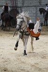 Ritterspiele 2012 auf Burg Sommeregg in Seeboden pressefotos, sportfoto, sportfotos, krnten, kaernten, pressefoto, oskar, hher, wolfgang, jannach, sport, wirtschaft, kultur, politik, innenpolitik, auenpolitik, lokal, chronik, fotos, fotografie, fotographie, canon, eos, 1d, mark IV, mark 4, fotopool, powerpixx, hherfoto, hoeherfoto, klagenfurt, villach, wolfsberg, spittal, feldkirchen, vlkermarkt, voelkermarkt, lienz, osttirol, hermagor, archiv, fotoarchiv, photo, photoarchiv, kleine, zeitung, kleinzeitung, ktz, krntner tages zeitung, krntner woche, krntner, woche, kronen zeitung, krone, kronen, zeitung, sportfotographie, sportfotografie, kurier, krntner monat, monatsmagazin, tageszeitung, wochenzeitung, gratiszeitung, fuball, fussball, eishockey, icehockey, tennis, basketball, handball, volleyball, beachvolleyball, schi, ski, ski alpin, ski nordisch, schi nordisch, nordisch, langlaufen, schispringen, skispringen, biathlon