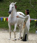 Ritterspiele 2012 auf Burg Sommeregg in Seeboden pressefotos, sportfoto, sportfotos, krnten, kaernten, pressefoto, oskar, hher, wolfgang, jannach, sport, wirtschaft, kultur, politik, innenpolitik, auenpolitik, lokal, chronik, fotos, fotografie, fotographie, canon, eos, 1d, mark IV, mark 4, fotopool, powerpixx, hherfoto, hoeherfoto, klagenfurt, villach, wolfsberg, spittal, feldkirchen, vlkermarkt, voelkermarkt, lienz, osttirol, hermagor, archiv, fotoarchiv, photo, photoarchiv, kleine, zeitung, kleinzeitung, ktz, krntner tages zeitung, krntner woche, krntner, woche, kronen zeitung, krone, kronen, zeitung, sportfotographie, sportfotografie, kurier, krntner monat, monatsmagazin, tageszeitung, wochenzeitung, gratiszeitung, fuball, fussball, eishockey, icehockey, tennis, basketball, handball, volleyball, beachvolleyball, schi, ski, ski alpin, ski nordisch, schi nordisch, nordisch, langlaufen, schispringen, skispringen, biathlon