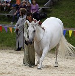 Ritterspiele 2012 auf Burg Sommeregg in Seeboden pressefotos, sportfoto, sportfotos, krnten, kaernten, pressefoto, oskar, hher, wolfgang, jannach, sport, wirtschaft, kultur, politik, innenpolitik, auenpolitik, lokal, chronik, fotos, fotografie, fotographie, canon, eos, 1d, mark IV, mark 4, fotopool, powerpixx, hherfoto, hoeherfoto, klagenfurt, villach, wolfsberg, spittal, feldkirchen, vlkermarkt, voelkermarkt, lienz, osttirol, hermagor, archiv, fotoarchiv, photo, photoarchiv, kleine, zeitung, kleinzeitung, ktz, krntner tages zeitung, krntner woche, krntner, woche, kronen zeitung, krone, kronen, zeitung, sportfotographie, sportfotografie, kurier, krntner monat, monatsmagazin, tageszeitung, wochenzeitung, gratiszeitung, fuball, fussball, eishockey, icehockey, tennis, basketball, handball, volleyball, beachvolleyball, schi, ski, ski alpin, ski nordisch, schi nordisch, nordisch, langlaufen, schispringen, skispringen, biathlon