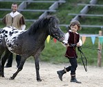 Ritterspiele 2012 auf Burg Sommeregg in Seeboden pressefotos, sportfoto, sportfotos, krnten, kaernten, pressefoto, oskar, hher, wolfgang, jannach, sport, wirtschaft, kultur, politik, innenpolitik, auenpolitik, lokal, chronik, fotos, fotografie, fotographie, canon, eos, 1d, mark IV, mark 4, fotopool, powerpixx, hherfoto, hoeherfoto, klagenfurt, villach, wolfsberg, spittal, feldkirchen, vlkermarkt, voelkermarkt, lienz, osttirol, hermagor, archiv, fotoarchiv, photo, photoarchiv, kleine, zeitung, kleinzeitung, ktz, krntner tages zeitung, krntner woche, krntner, woche, kronen zeitung, krone, kronen, zeitung, sportfotographie, sportfotografie, kurier, krntner monat, monatsmagazin, tageszeitung, wochenzeitung, gratiszeitung, fuball, fussball, eishockey, icehockey, tennis, basketball, handball, volleyball, beachvolleyball, schi, ski, ski alpin, ski nordisch, schi nordisch, nordisch, langlaufen, schispringen, skispringen, biathlon