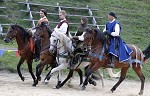 Ritterspiele 2012 auf Burg Sommeregg in Seeboden pressefotos, sportfoto, sportfotos, krnten, kaernten, pressefoto, oskar, hher, wolfgang, jannach, sport, wirtschaft, kultur, politik, innenpolitik, auenpolitik, lokal, chronik, fotos, fotografie, fotographie, canon, eos, 1d, mark IV, mark 4, fotopool, powerpixx, hherfoto, hoeherfoto, klagenfurt, villach, wolfsberg, spittal, feldkirchen, vlkermarkt, voelkermarkt, lienz, osttirol, hermagor, archiv, fotoarchiv, photo, photoarchiv, kleine, zeitung, kleinzeitung, ktz, krntner tages zeitung, krntner woche, krntner, woche, kronen zeitung, krone, kronen, zeitung, sportfotographie, sportfotografie, kurier, krntner monat, monatsmagazin, tageszeitung, wochenzeitung, gratiszeitung, fuball, fussball, eishockey, icehockey, tennis, basketball, handball, volleyball, beachvolleyball, schi, ski, ski alpin, ski nordisch, schi nordisch, nordisch, langlaufen, schispringen, skispringen, biathlon