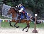 Ritterspiele 2012 auf Burg Sommeregg in Seeboden pressefotos, sportfoto, sportfotos, krnten, kaernten, pressefoto, oskar, hher, wolfgang, jannach, sport, wirtschaft, kultur, politik, innenpolitik, auenpolitik, lokal, chronik, fotos, fotografie, fotographie, canon, eos, 1d, mark IV, mark 4, fotopool, powerpixx, hherfoto, hoeherfoto, klagenfurt, villach, wolfsberg, spittal, feldkirchen, vlkermarkt, voelkermarkt, lienz, osttirol, hermagor, archiv, fotoarchiv, photo, photoarchiv, kleine, zeitung, kleinzeitung, ktz, krntner tages zeitung, krntner woche, krntner, woche, kronen zeitung, krone, kronen, zeitung, sportfotographie, sportfotografie, kurier, krntner monat, monatsmagazin, tageszeitung, wochenzeitung, gratiszeitung, fuball, fussball, eishockey, icehockey, tennis, basketball, handball, volleyball, beachvolleyball, schi, ski, ski alpin, ski nordisch, schi nordisch, nordisch, langlaufen, schispringen, skispringen, biathlon