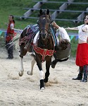 Ritterspiele 2012 auf Burg Sommeregg in Seeboden pressefotos, sportfoto, sportfotos, krnten, kaernten, pressefoto, oskar, hher, wolfgang, jannach, sport, wirtschaft, kultur, politik, innenpolitik, auenpolitik, lokal, chronik, fotos, fotografie, fotographie, canon, eos, 1d, mark IV, mark 4, fotopool, powerpixx, hherfoto, hoeherfoto, klagenfurt, villach, wolfsberg, spittal, feldkirchen, vlkermarkt, voelkermarkt, lienz, osttirol, hermagor, archiv, fotoarchiv, photo, photoarchiv, kleine, zeitung, kleinzeitung, ktz, krntner tages zeitung, krntner woche, krntner, woche, kronen zeitung, krone, kronen, zeitung, sportfotographie, sportfotografie, kurier, krntner monat, monatsmagazin, tageszeitung, wochenzeitung, gratiszeitung, fuball, fussball, eishockey, icehockey, tennis, basketball, handball, volleyball, beachvolleyball, schi, ski, ski alpin, ski nordisch, schi nordisch, nordisch, langlaufen, schispringen, skispringen, biathlon