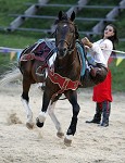 Ritterspiele 2012 auf Burg Sommeregg in Seeboden pressefotos, sportfoto, sportfotos, krnten, kaernten, pressefoto, oskar, hher, wolfgang, jannach, sport, wirtschaft, kultur, politik, innenpolitik, auenpolitik, lokal, chronik, fotos, fotografie, fotographie, canon, eos, 1d, mark IV, mark 4, fotopool, powerpixx, hherfoto, hoeherfoto, klagenfurt, villach, wolfsberg, spittal, feldkirchen, vlkermarkt, voelkermarkt, lienz, osttirol, hermagor, archiv, fotoarchiv, photo, photoarchiv, kleine, zeitung, kleinzeitung, ktz, krntner tages zeitung, krntner woche, krntner, woche, kronen zeitung, krone, kronen, zeitung, sportfotographie, sportfotografie, kurier, krntner monat, monatsmagazin, tageszeitung, wochenzeitung, gratiszeitung, fuball, fussball, eishockey, icehockey, tennis, basketball, handball, volleyball, beachvolleyball, schi, ski, ski alpin, ski nordisch, schi nordisch, nordisch, langlaufen, schispringen, skispringen, biathlon