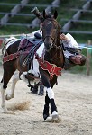 Ritterspiele 2012 auf Burg Sommeregg in Seeboden pressefotos, sportfoto, sportfotos, krnten, kaernten, pressefoto, oskar, hher, wolfgang, jannach, sport, wirtschaft, kultur, politik, innenpolitik, auenpolitik, lokal, chronik, fotos, fotografie, fotographie, canon, eos, 1d, mark IV, mark 4, fotopool, powerpixx, hherfoto, hoeherfoto, klagenfurt, villach, wolfsberg, spittal, feldkirchen, vlkermarkt, voelkermarkt, lienz, osttirol, hermagor, archiv, fotoarchiv, photo, photoarchiv, kleine, zeitung, kleinzeitung, ktz, krntner tages zeitung, krntner woche, krntner, woche, kronen zeitung, krone, kronen, zeitung, sportfotographie, sportfotografie, kurier, krntner monat, monatsmagazin, tageszeitung, wochenzeitung, gratiszeitung, fuball, fussball, eishockey, icehockey, tennis, basketball, handball, volleyball, beachvolleyball, schi, ski, ski alpin, ski nordisch, schi nordisch, nordisch, langlaufen, schispringen, skispringen, biathlon