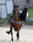 Ritterspiele 2012 auf Burg Sommeregg in Seeboden pressefotos, sportfoto, sportfotos, krnten, kaernten, pressefoto, oskar, hher, wolfgang, jannach, sport, wirtschaft, kultur, politik, innenpolitik, auenpolitik, lokal, chronik, fotos, fotografie, fotographie, canon, eos, 1d, mark IV, mark 4, fotopool, powerpixx, hherfoto, hoeherfoto, klagenfurt, villach, wolfsberg, spittal, feldkirchen, vlkermarkt, voelkermarkt, lienz, osttirol, hermagor, archiv, fotoarchiv, photo, photoarchiv, kleine, zeitung, kleinzeitung, ktz, krntner tages zeitung, krntner woche, krntner, woche, kronen zeitung, krone, kronen, zeitung, sportfotographie, sportfotografie, kurier, krntner monat, monatsmagazin, tageszeitung, wochenzeitung, gratiszeitung, fuball, fussball, eishockey, icehockey, tennis, basketball, handball, volleyball, beachvolleyball, schi, ski, ski alpin, ski nordisch, schi nordisch, nordisch, langlaufen, schispringen, skispringen, biathlon