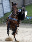 Ritterspiele 2012 auf Burg Sommeregg in Seeboden pressefotos, sportfoto, sportfotos, krnten, kaernten, pressefoto, oskar, hher, wolfgang, jannach, sport, wirtschaft, kultur, politik, innenpolitik, auenpolitik, lokal, chronik, fotos, fotografie, fotographie, canon, eos, 1d, mark IV, mark 4, fotopool, powerpixx, hherfoto, hoeherfoto, klagenfurt, villach, wolfsberg, spittal, feldkirchen, vlkermarkt, voelkermarkt, lienz, osttirol, hermagor, archiv, fotoarchiv, photo, photoarchiv, kleine, zeitung, kleinzeitung, ktz, krntner tages zeitung, krntner woche, krntner, woche, kronen zeitung, krone, kronen, zeitung, sportfotographie, sportfotografie, kurier, krntner monat, monatsmagazin, tageszeitung, wochenzeitung, gratiszeitung, fuball, fussball, eishockey, icehockey, tennis, basketball, handball, volleyball, beachvolleyball, schi, ski, ski alpin, ski nordisch, schi nordisch, nordisch, langlaufen, schispringen, skispringen, biathlon