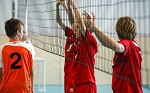 (c) 2014 - Sportpark Klagenfurt, Volleyball ASK Bundesmeisterschaften, U13. - Bild zeigt: Sportler. pressefotos, sportfoto, sportfotos, krnten, kaernten, pressefoto, oskar, hher, wolfgang, jannach, sport, wirtschaft, kultur, politik, innenpolitik, auenpolitik, lokal, chronik, fotos, fotografie, fotographie, canon, eos, 1d, mark IV, mark 4, fotopool, powerpixx, hherfoto, hoeherfoto, klagenfurt, villach, wolfsberg, spittal, feldkirchen, vlkermarkt, voelkermarkt, lienz, osttirol, hermagor, archiv, fotoarchiv, photo, photoarchiv, kleine, zeitung, kleinzeitung, ktz, krntner tages zeitung, krntner woche, krntner, woche, kronen zeitung, krone, kronen, zeitung, sportfotographie, sportfotografie, kurier, krntner monat, monatsmagazin, tageszeitung, wochenzeitung, gratiszeitung, fuball, fussball, eishockey, icehockey, tennis, basketball, handball, volleyball, beachvolleyball, schi, ski, ski alpin, ski nordisch, schi nordisch, nordisch, langlaufen, schispringen, skispringen, biathlon